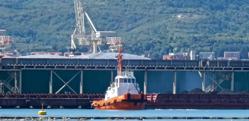 RASANT Tug Boat IMO 7349821 photo 8
