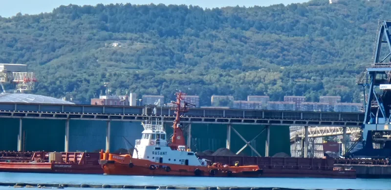 RASANT Tug Boat IMO 7349821 photo 9