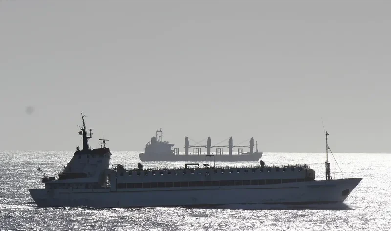 HARMONY LIVESTOCK General Cargo IMO 7349871 photo 8