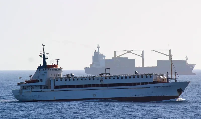 HARMONY LIVESTOCK General Cargo IMO 7349871 photo 10