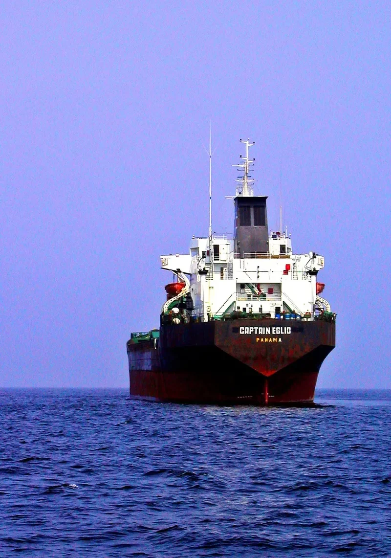 CAPTAIN EGLIO Bulk Carrier IMO 7349883 photo 3