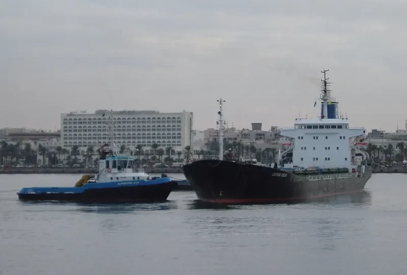 CAPTAIN EGLIO Bulk Carrier IMO 7349883 photo 6