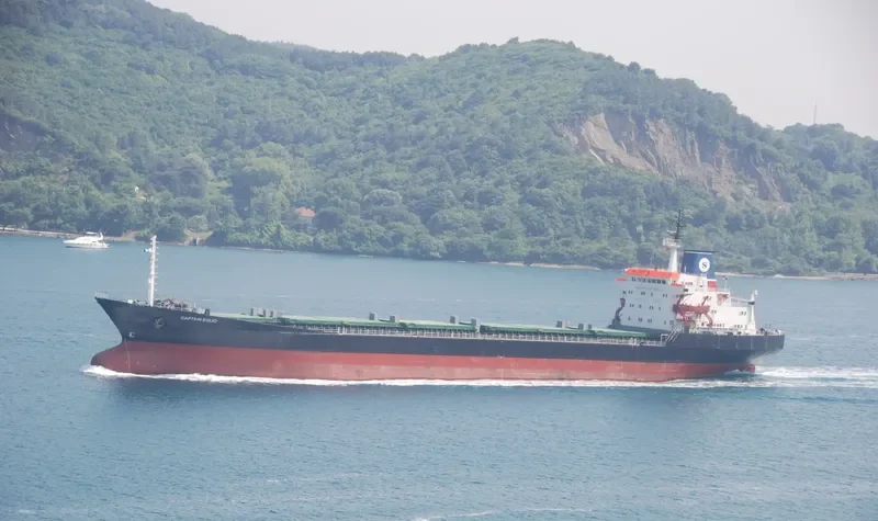 CAPTAIN EGLIO Bulk Carrier IMO 7349883 photo 8
