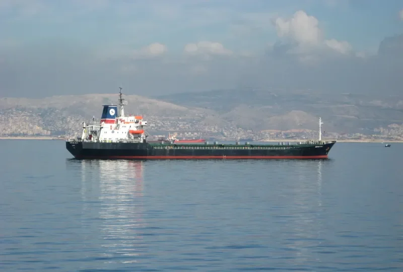 CAPTAIN EGLIO Bulk Carrier IMO 7349883 photo 9