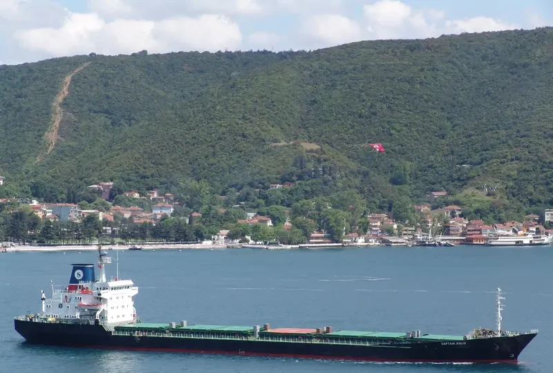 CAPTAIN EGLIO Bulk Carrier IMO 7349883 photo 10