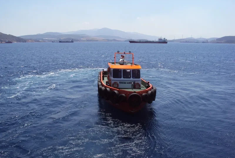 APDM II Ro-Ro IMO 7350375
