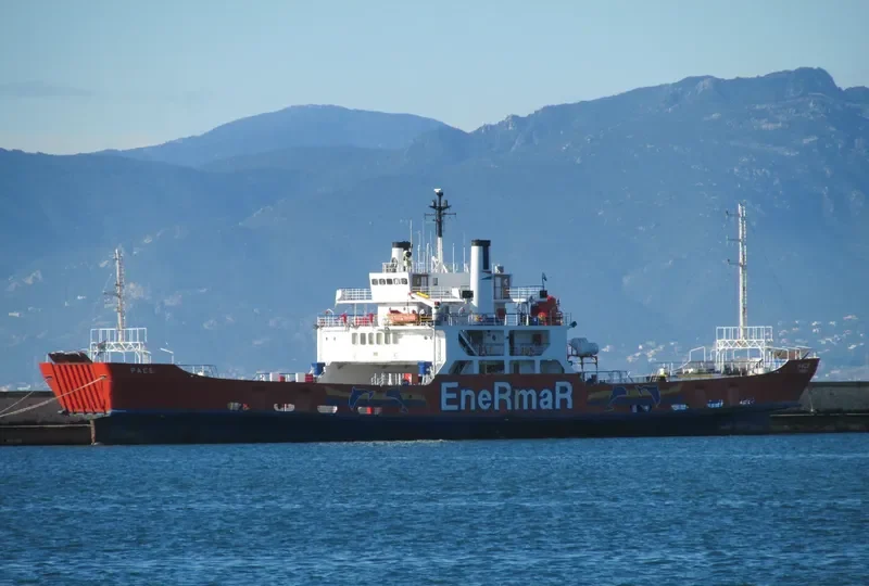 PACE Ro-Ro IMO 7351032 photo 7