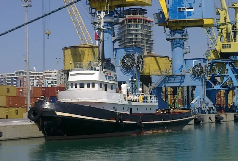 LION Tug Boat IMO 7351068