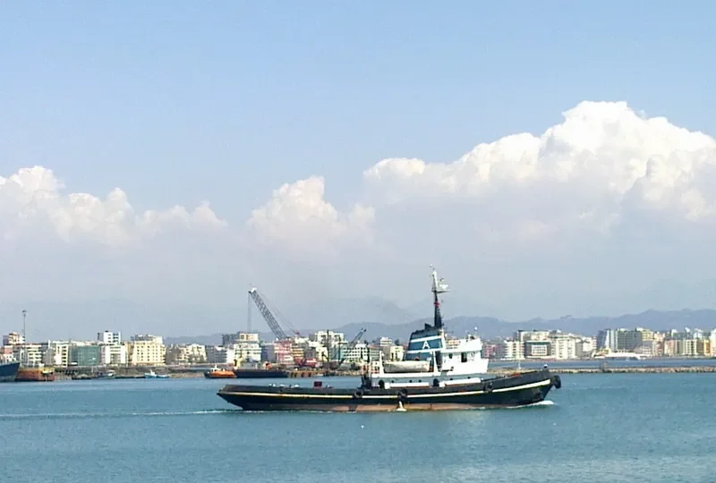 LION Tug Boat IMO 7351068 photo 2