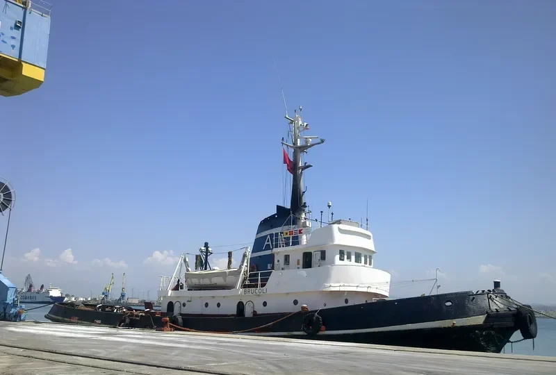 LION Tug Boat IMO 7351068 photo 3
