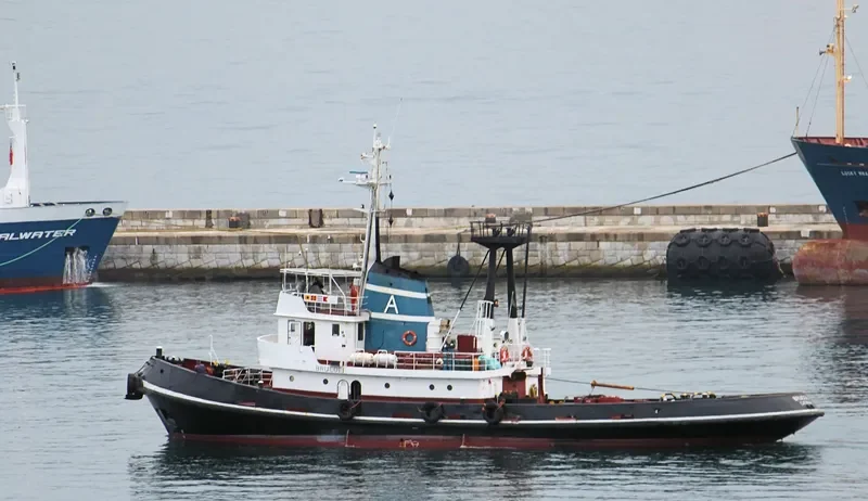 LION Tug Boat IMO 7351068 photo 5