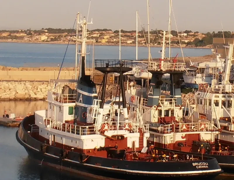 LION Tug Boat IMO 7351068 photo 6