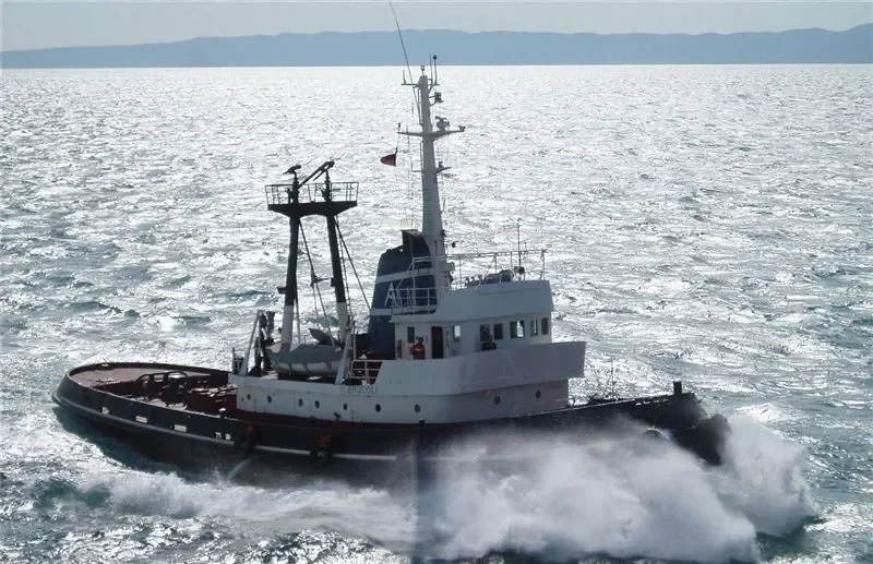 LION Tug Boat IMO 7351068 photo 7