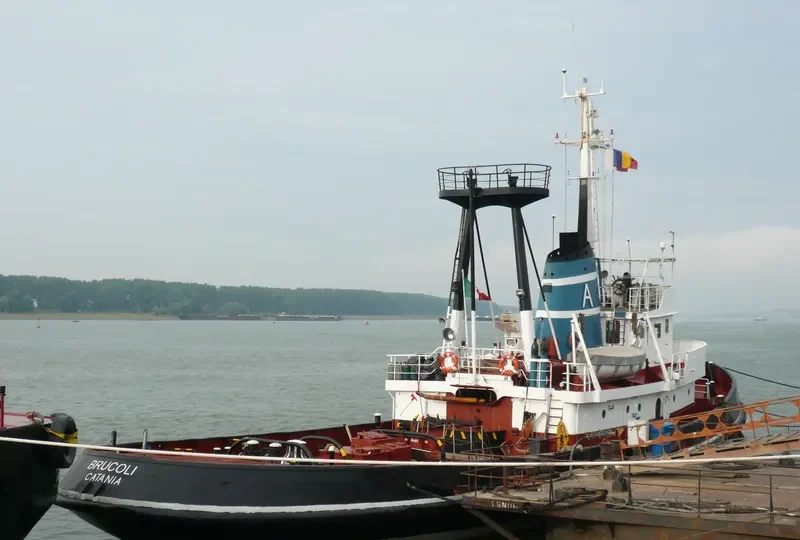 LION Tug Boat IMO 7351068 photo 8