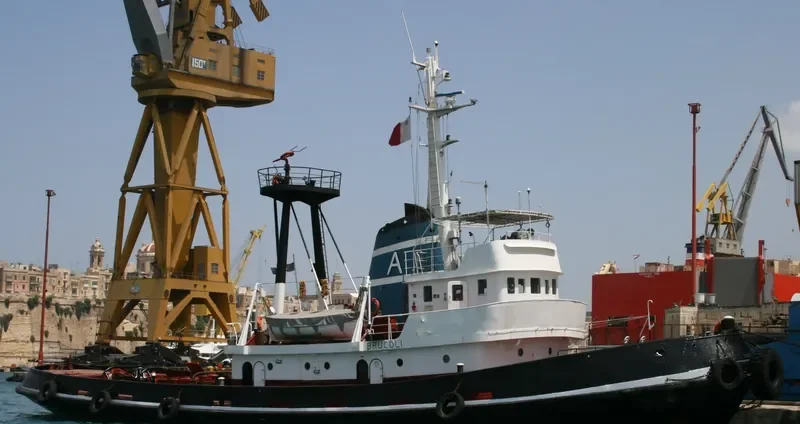 LION Tug Boat IMO 7351068 photo 9
