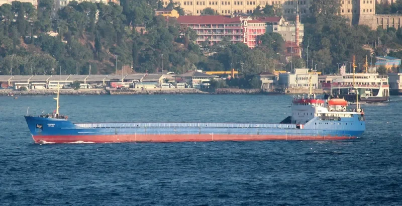 SKYLARK Bulk Carrier IMO 7352505 photo 2
