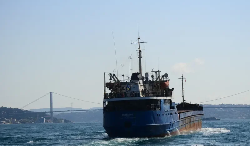 SKYLARK Bulk Carrier IMO 7352505 photo 3