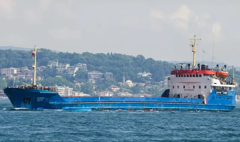 SKYLARK Bulk Carrier IMO 7352505 photo 5