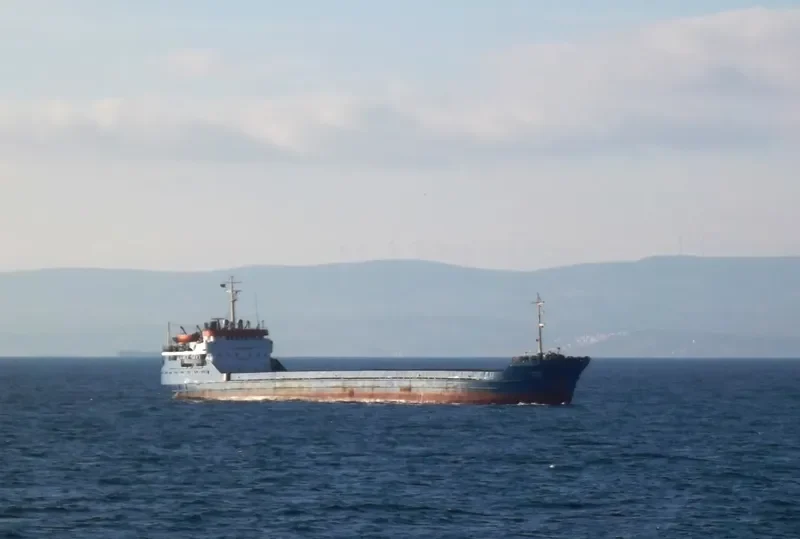 SKYLARK Bulk Carrier IMO 7352505 photo 8