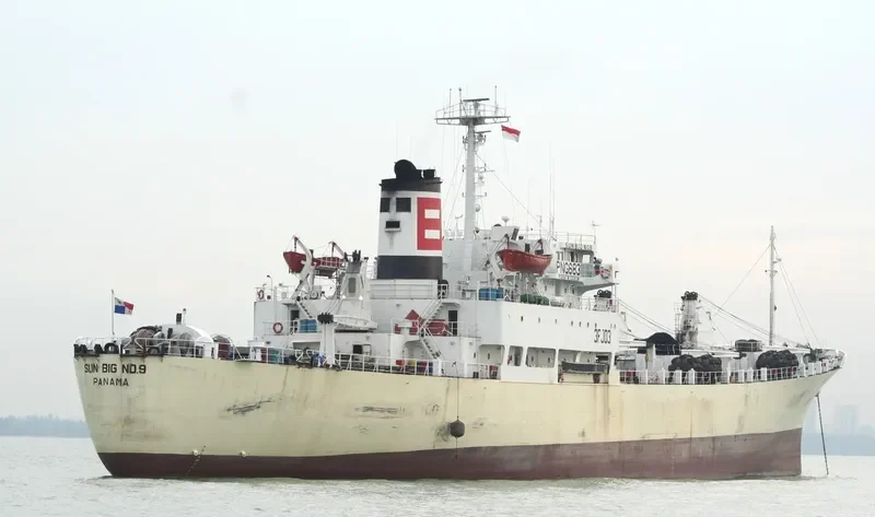 SUN BIG NO.9 General Cargo IMO 7352816