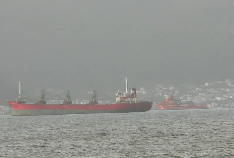 ALAA Y Bulk Carrier IMO 7353614 photo 9