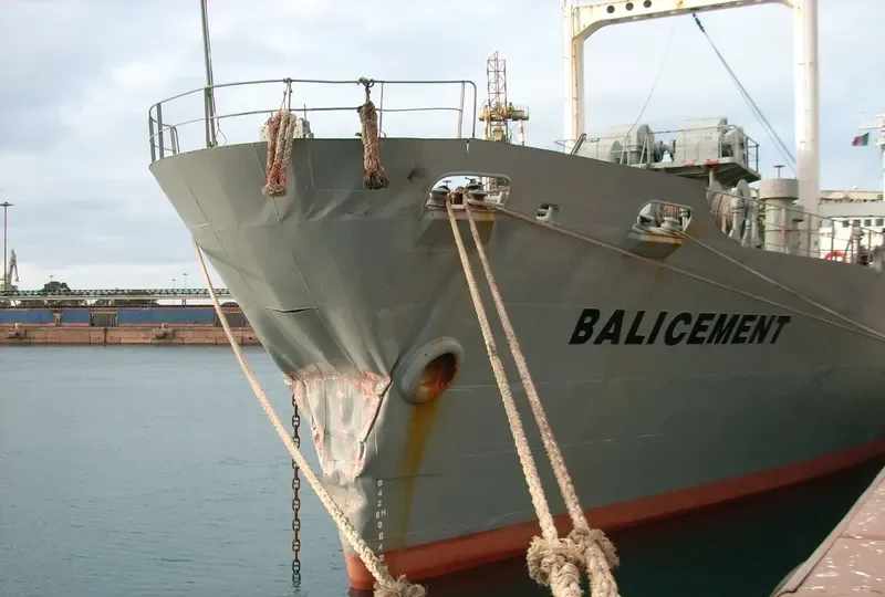BALI CEMENT General Cargo IMO 7354137