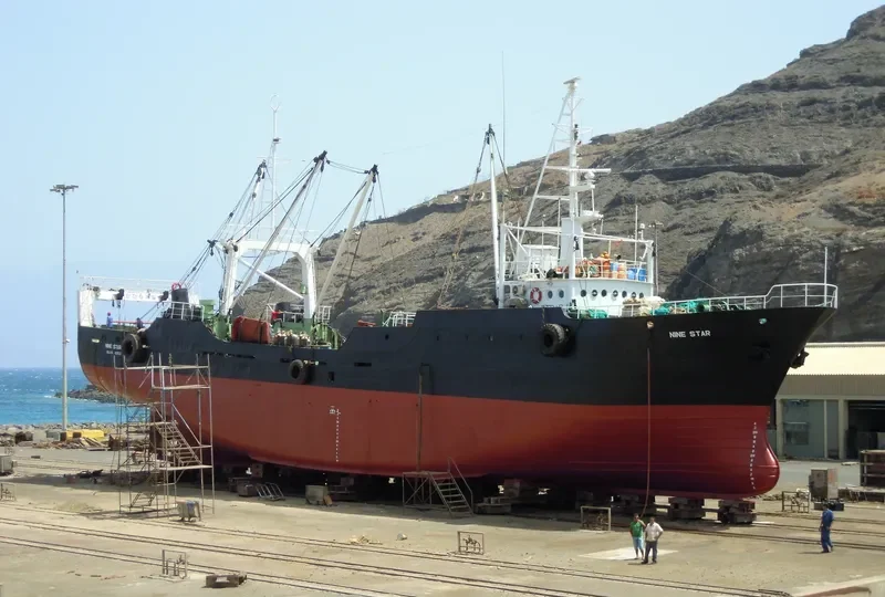 NINE STAR General Cargo IMO 7354187