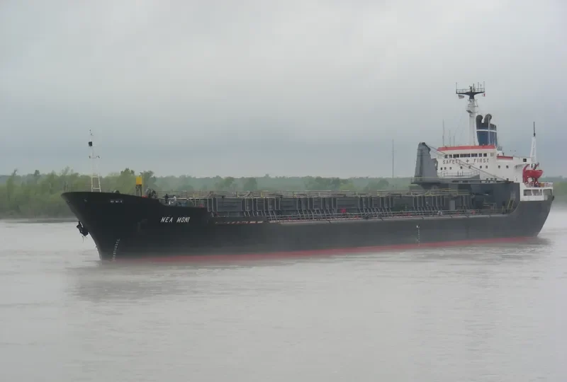 MONI Bulk Carrier IMO 7354319
