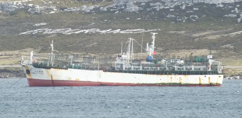 NO.303 TONG YOUNG General Cargo IMO 7355753