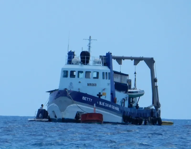 BETTY DES MASCAREIGNES Tug Boat IMO 7356977 photo 3
