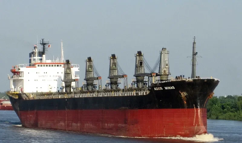 AGIOS MINAS Bulk Carrier IMO 7358482