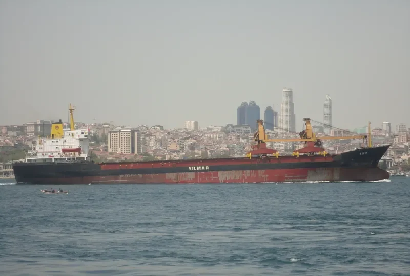GARIP General Cargo IMO 7360708 photo 8