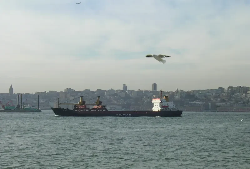 GARIP General Cargo IMO 7360708 photo 10
