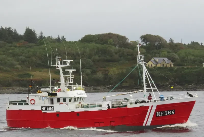 PESORSA DOS Fishing Vessel IMO 7360930 photo 3