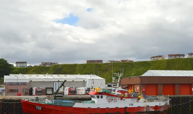 PESORSA DOS Fishing Vessel IMO 7360930 photo 6