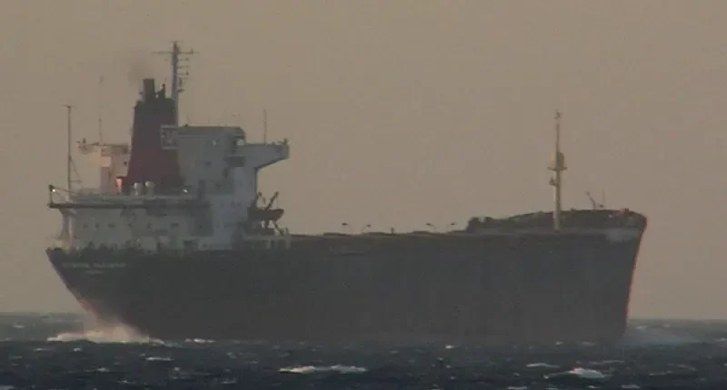 SVYATAYA YELIZAVETA Bulk Carrier IMO 7361116 photo 2