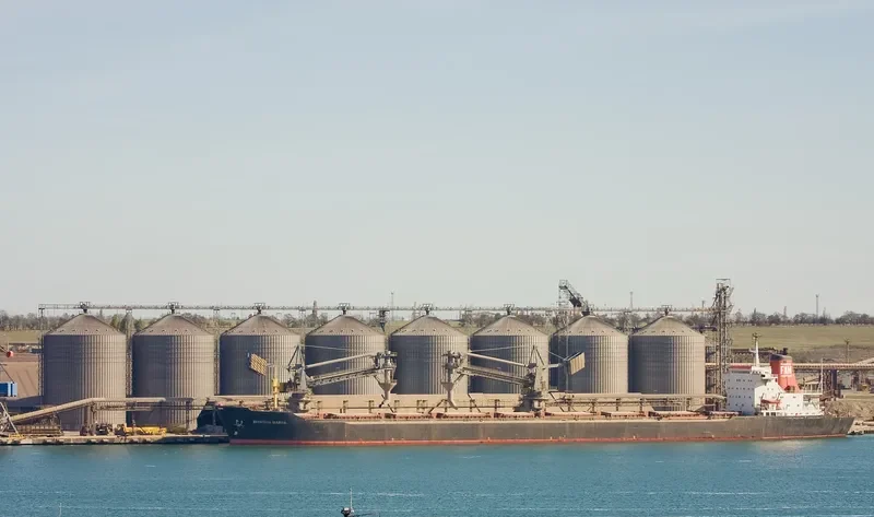 SVYATAYA MARIYA Bulk Carrier IMO 7361128