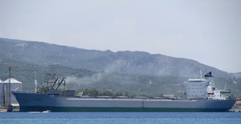 MINOS Bulk Carrier IMO 7361142