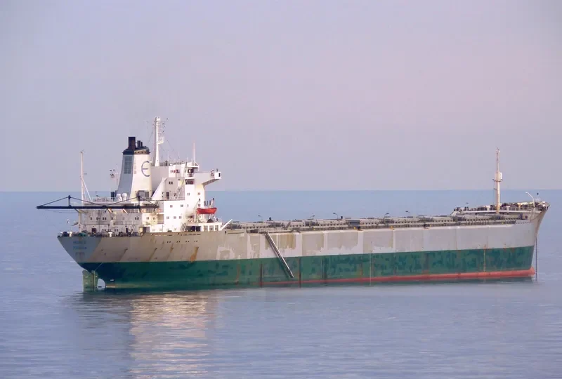 MINOS Bulk Carrier IMO 7361142 photo 2