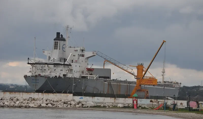 MINOS Bulk Carrier IMO 7361142 photo 3