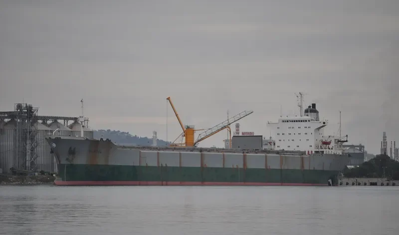 MINOS Bulk Carrier IMO 7361142 photo 6