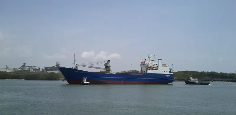 TRANS GULF Ro-Ro IMO 7361283 photo 3