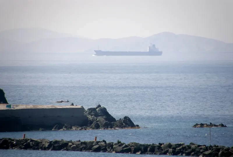 PATMOS Bulk Carrier IMO 7361518 photo 6