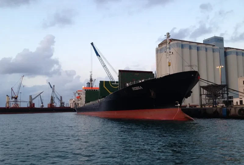 ROSSA Bulk Carrier IMO 7361520 photo 2