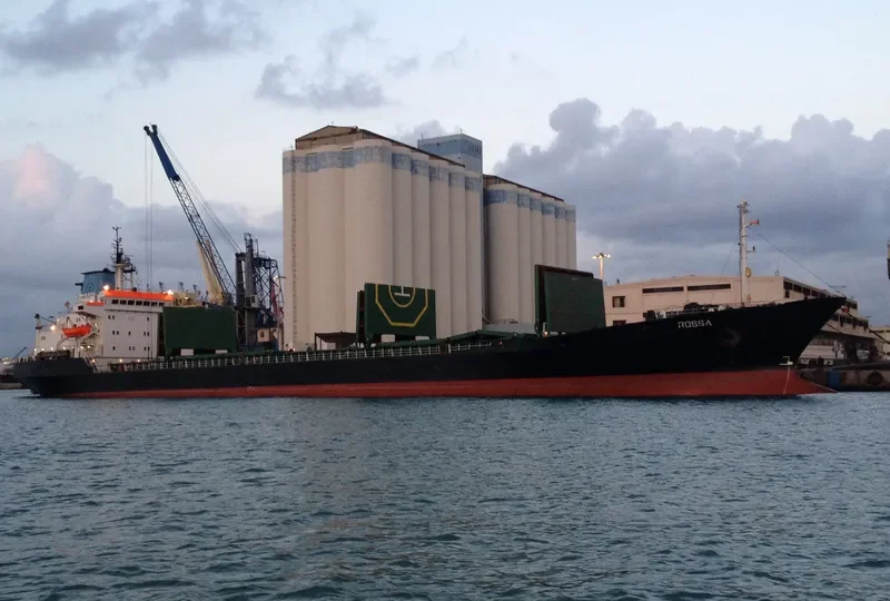 ROSSA Bulk Carrier IMO 7361520 photo 3