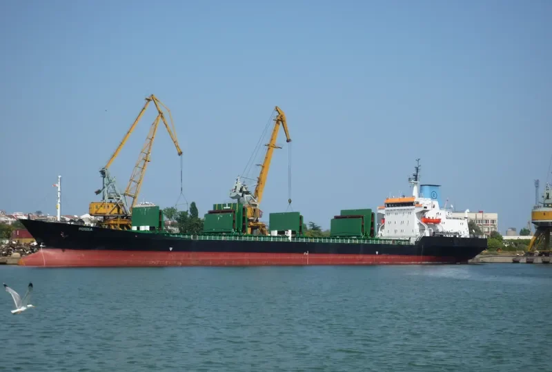 ROSSA Bulk Carrier IMO 7361520 photo 6