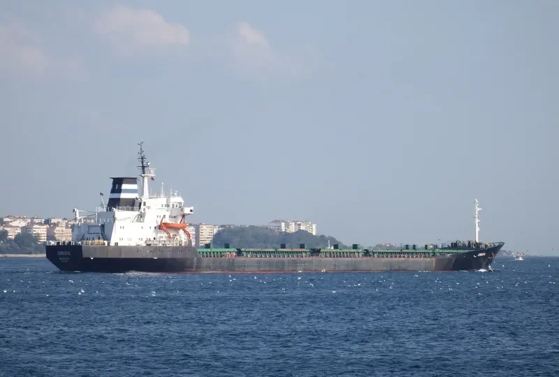 COROZAL Bulk Carrier IMO 7361532 photo 2