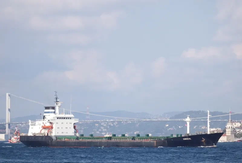 COROZAL Bulk Carrier IMO 7361532 photo 4