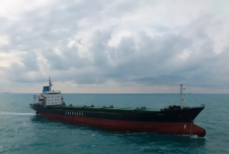 ROLN Bulk Carrier IMO 7361544 photo 9