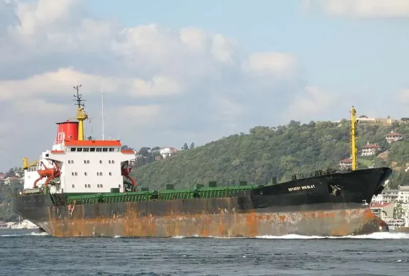 SVYATOY NIKOLAY Bulk Carrier IMO 7361556 photo 3